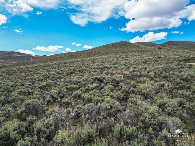 Sweet Spring Rd, Wolcott, CO 81632 - photo 4