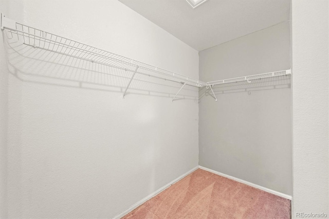 4452 Cornish Way, Denver, CO 80239 - photo 32