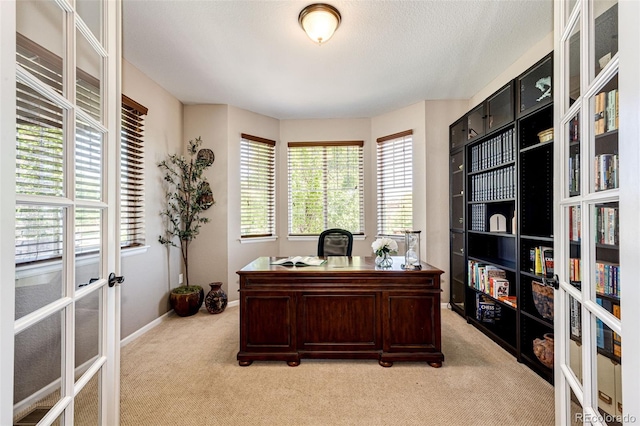 30 S Ider Way, Aurora, CO 80018 - home office featuring light colored carpet and french doors