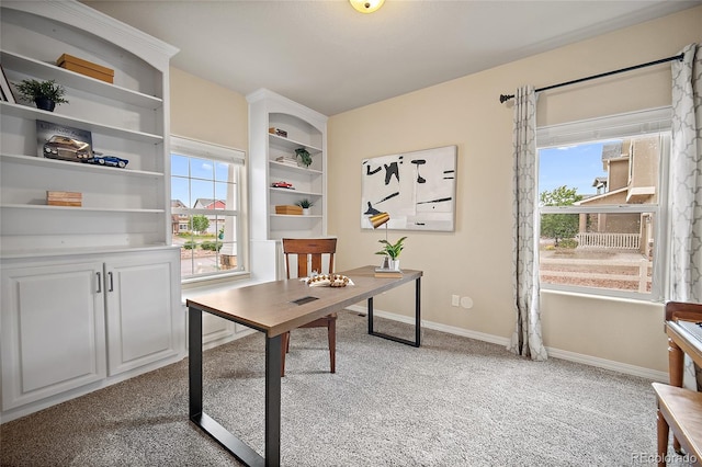 8348 Needle Drop Ct, Colorado Springs, CO 80908 - photo 4