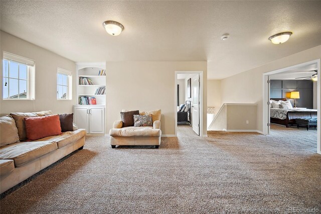 8348 Needle Drop Ct, Colorado Springs, CO 80908 - photo 15