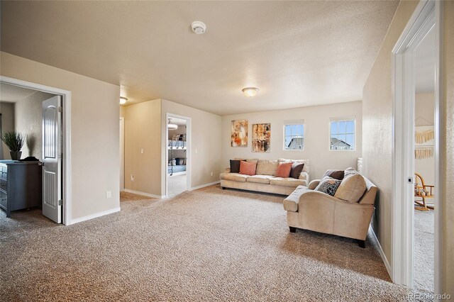 8348 Needle Drop Ct, Colorado Springs, CO 80908 - photo 16