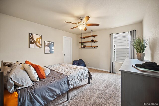 8348 Needle Drop Ct, Colorado Springs, CO 80908 - photo 27