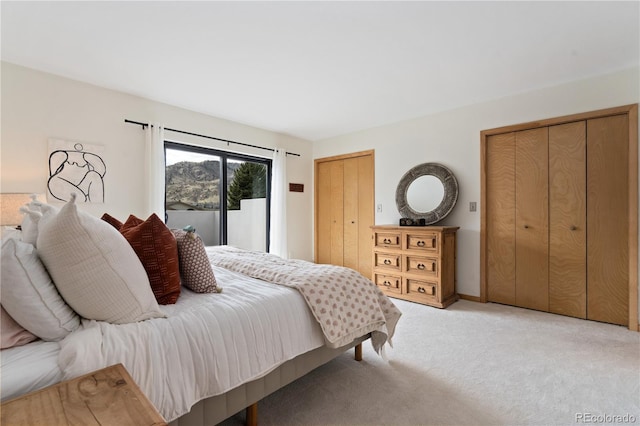 330 Ptarmigan St, Golden, CO 80403 - bedroom featuring multiple closets and light colored carpet