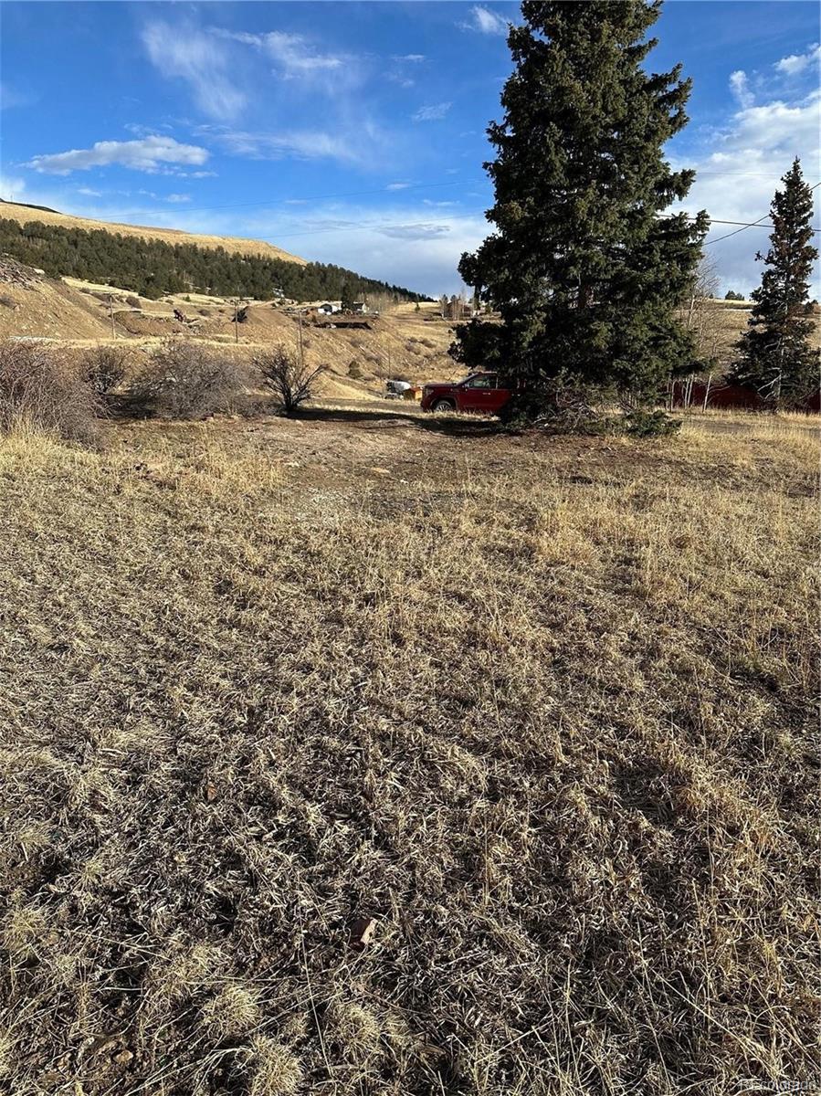 Whiting Ave, Cripple Creek, CO 80813