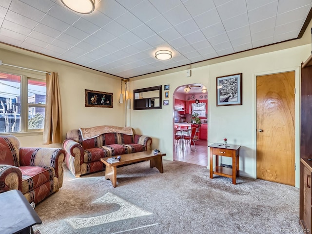 living room featuring carpet