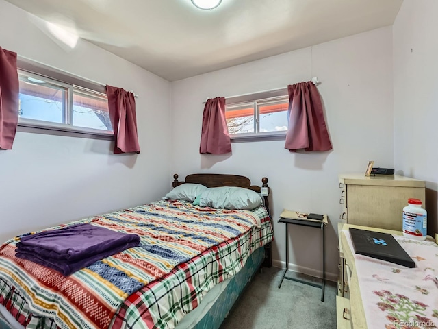 bedroom featuring multiple windows and carpet floors