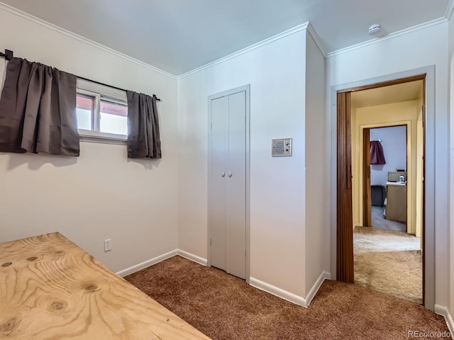 unfurnished bedroom featuring ornamental molding and carpet floors