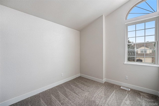 bonus room featuring vaulted ceiling, a healthy amount of sunlight, and carpet