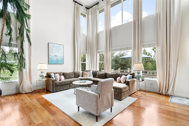6032 Umber St, Arvada, CO 80403 - living area featuring a high ceiling, wood finished floors, and baseboards