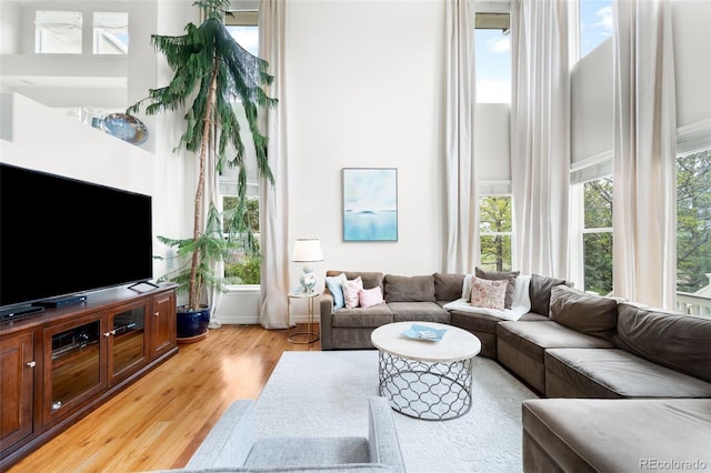 6032 Umber St, Arvada, CO 80403 - living room with a high ceiling and light wood-style floors