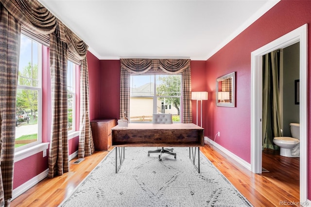 6032 Umber St, Arvada, CO 80403 - office area with light wood-type flooring, crown molding, baseboards, and a textured wall