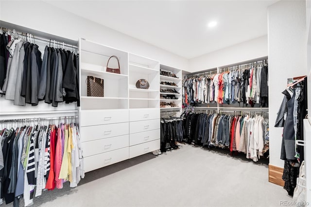 6032 Umber St, Arvada, CO 80403 - walk in closet featuring carpet