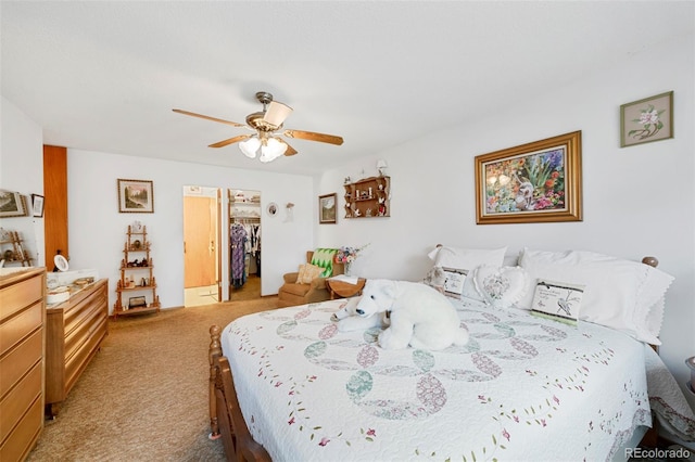 bedroom with a walk in closet, a closet, carpet floors, and ceiling fan