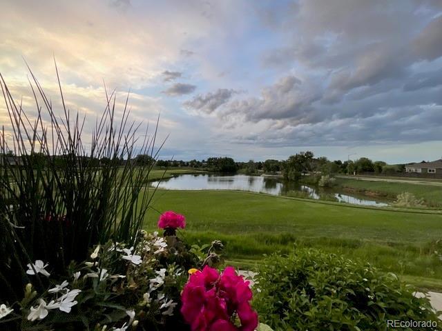 view of yard featuring a water view