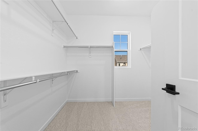 8892 Springsong Ln, Littleton, CO 80125 - photo 34
