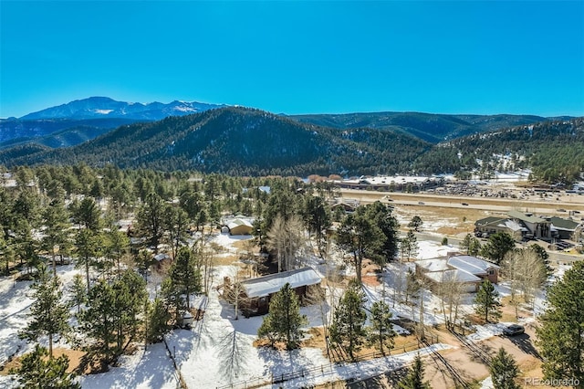 320 Morning Sun Dr, Woodland Park, CO 80863 - view of mountain backdrop