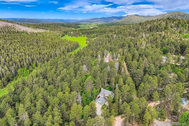 11155 Kennedy Ave, Conifer, CO 80433 - photo 2