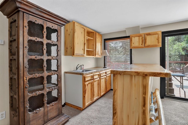 723 Snyder Mountain Rd, Evergreen, CO 80439 - photo 27