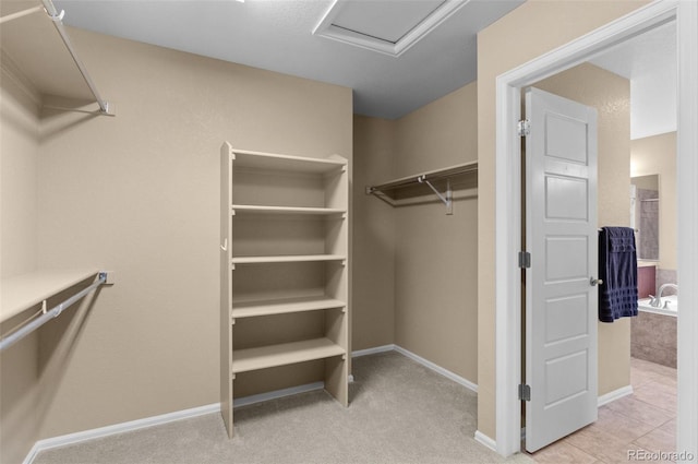 16685 E 101st Ave, Commerce City, CO 80022 - view of spacious closet