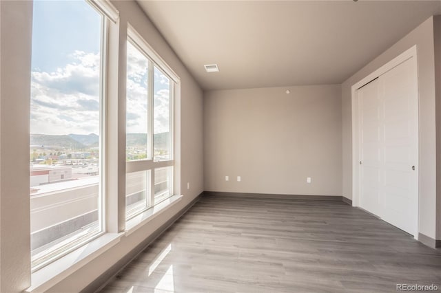 empty room featuring a wealth of natural light, wood-type flooring, and a mountain view