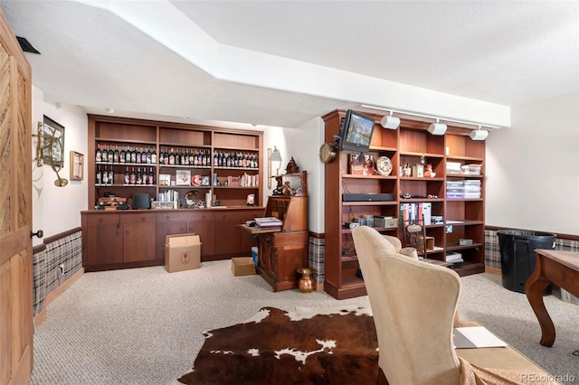 2611 Fox Acres Dr E, Red Feather Lakes, CO 80545 - view of carpeted home office