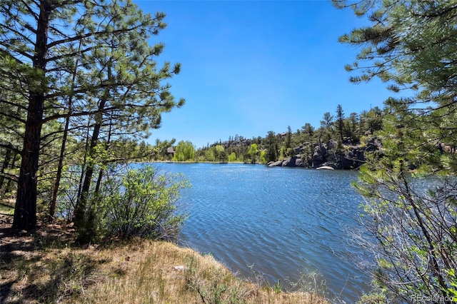 2611 Fox Acres Dr E, Red Feather Lakes, CO 80545 - water view featuring a heavily wooded area