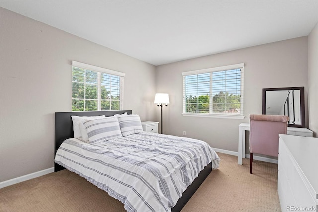 9432 La Quinta Way, Lone Tree, CO 80124 - bedroom featuring multiple windows, light carpet, and baseboards