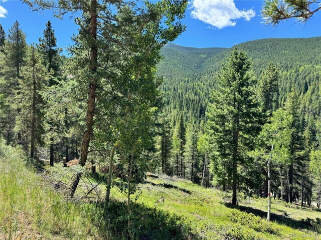 Listing photo 3 for 0 Blue Bell Ln, Idaho Springs CO 80452