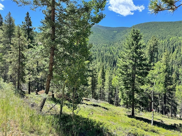 Listing photo 3 for 0 Blue Bell Ln, Idaho Springs CO 80452