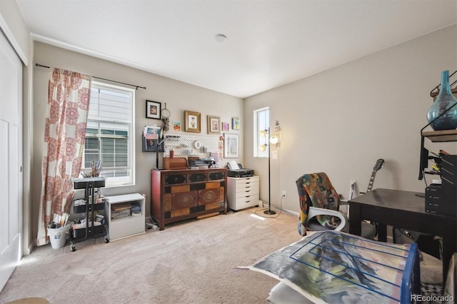 home office with carpet floors