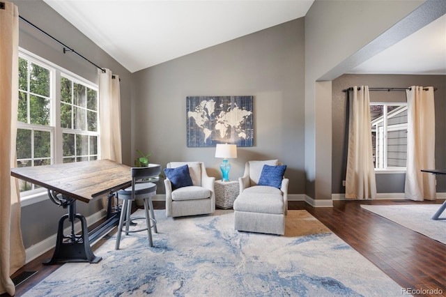 10060 Royal Eagle Ln, Highlands Ranch, CO 80129 - photo 16