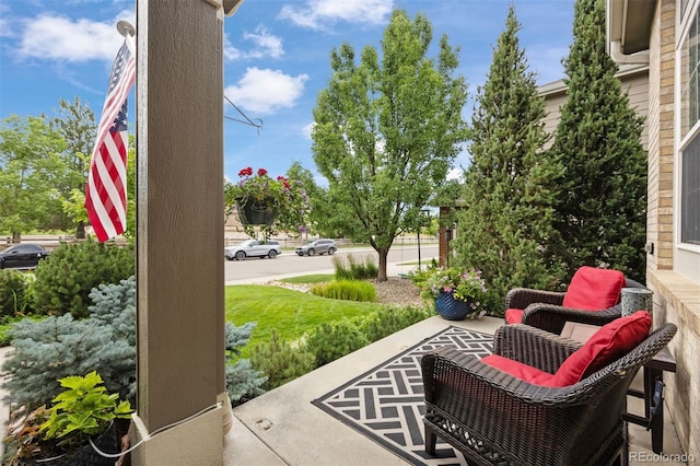 10060 Royal Eagle Ln, Highlands Ranch, CO 80129 - photo 37