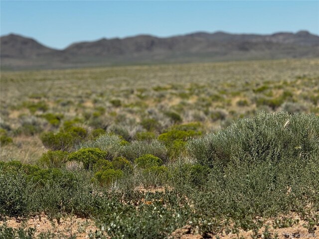 Listing photo 3 for LOT18 Russ Rd, San Luis CO 81152