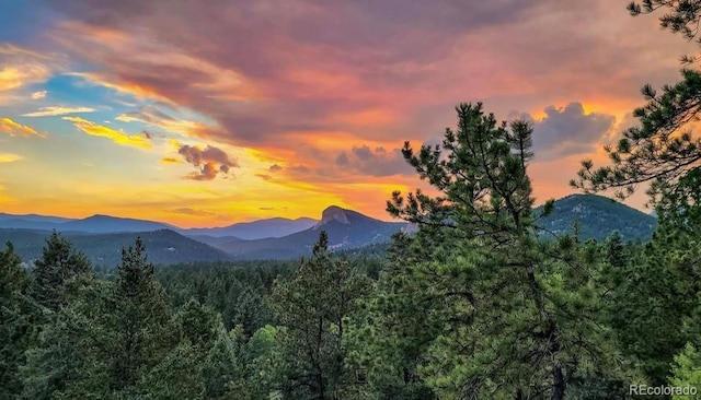 13909 Stone Chimney Ln, Pine, CO 80470 - mountain view featuring a heavily wooded area