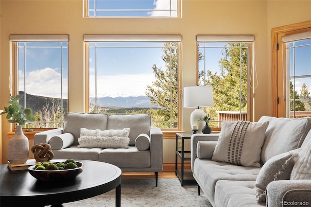 13909 Stone Chimney Ln, Pine, CO 80470 - living area featuring a mountain view, healthy amount of natural light, and wood finished floors