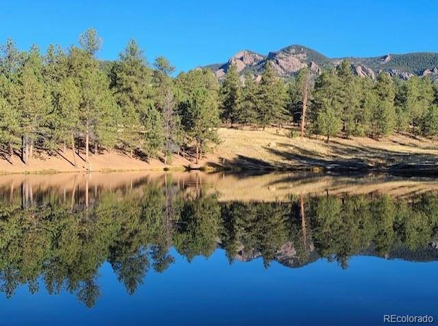 13909 Stone Chimney Ln, Pine, CO 80470 - water view featuring a forest and a mountainous background