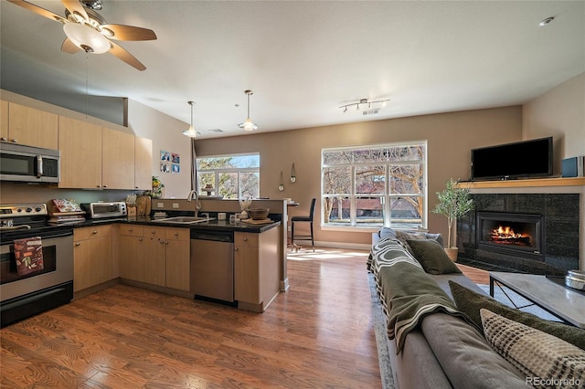 kitchen with dark wood finished floors, light brown cabinetry, appliances with stainless steel finishes, open floor plan, and a sink