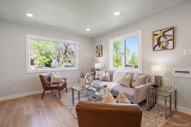 3206 Elizabeth St, Denver, CO 80205 - living room featuring light wood-style flooring, baseboards, and recessed lighting