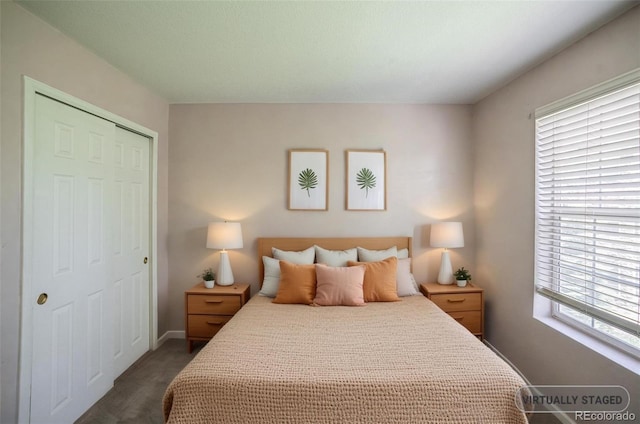 12208 W Dorado Pl Unit 207, Littleton, CO 80127 - bedroom featuring dark carpet and a closet