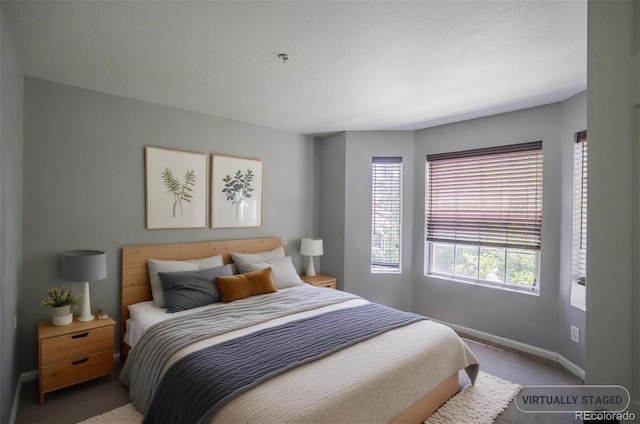 12208 W Dorado Pl Unit 207, Littleton, CO 80127 - bedroom featuring carpet flooring and baseboards