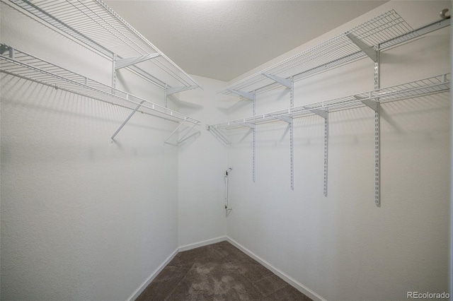 12208 W Dorado Pl Unit 207, Littleton, CO 80127 - spacious closet featuring carpet flooring