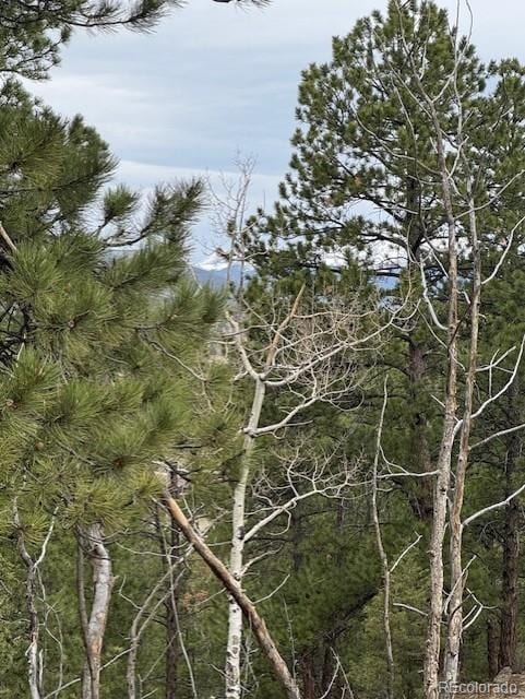Mockingbird Trl, Bailey, CO 80421