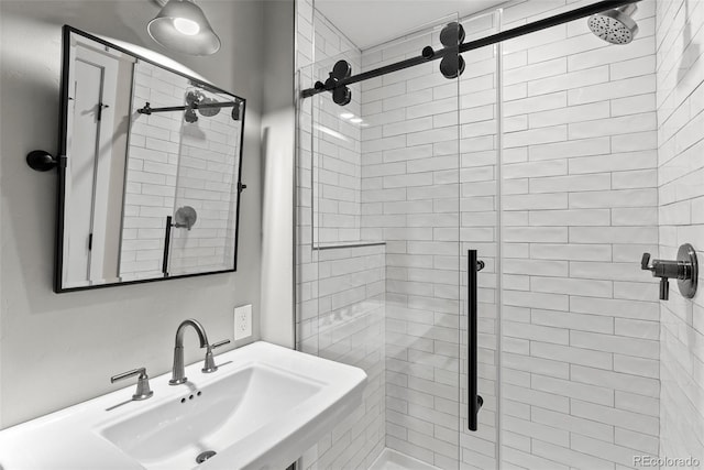 592 Brook Dr, Idaho Springs, CO 80452 - bathroom featuring a shower stall