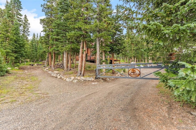 592 Brook Dr, Idaho Springs, CO 80452 - view of road featuring a gate