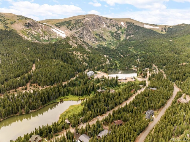 592 Brook Dr, Idaho Springs, CO 80452 - view of mountain backdrop with a forest and a large body of water