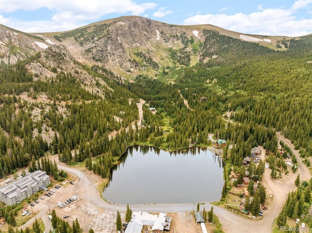 592 Brook Dr, Idaho Springs, CO 80452 - view of property location with a forest and a water and mountain view