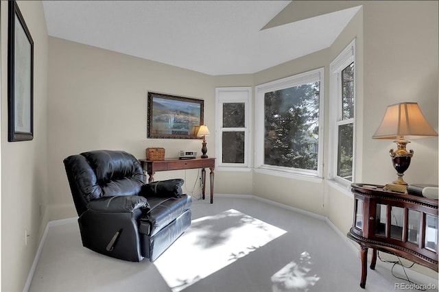 living area with light colored carpet