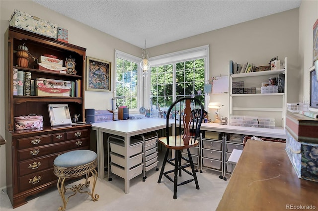 carpeted office space with a textured ceiling