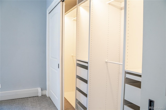 spacious closet with carpet